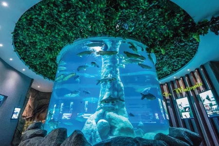 The Shore Oceanarium